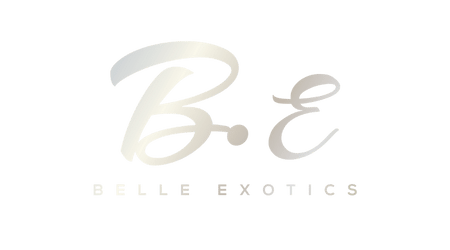 Discover Belle Exotics’ thoughtfully curated range of intimate wellness products, designed to enhance your personal care and connection. Whether you’re exploring solo or with a partner, our collections provide comfort, quality, and confidence. From gentle vibrators to versatile Kegel tools, find products that fit seamlessly into your lifestyle. Enjoy discreet delivery anywhere in Trinidad and Tobago.