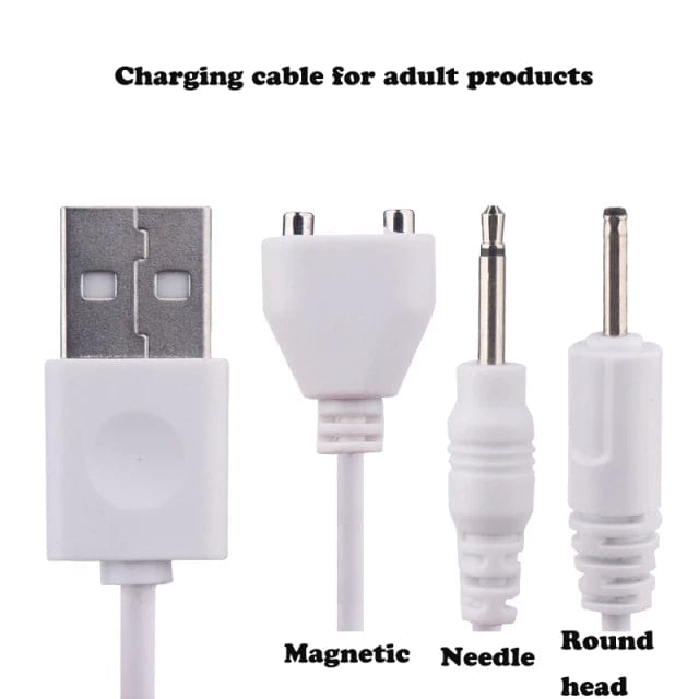 Belle Exotics TOY ACCESSORIES PLUGGED IN - TOY CHARGERS- ROSE CHARGER