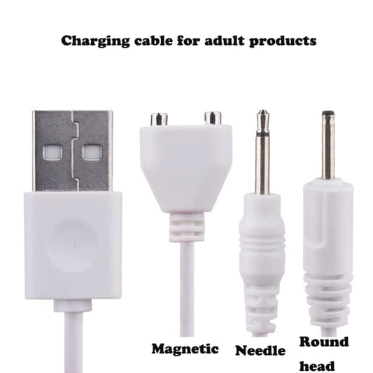 Belle Exotics TOY ACCESSORIES PLUGGED IN - TOY CHARGERS- ROSE CHARGER
