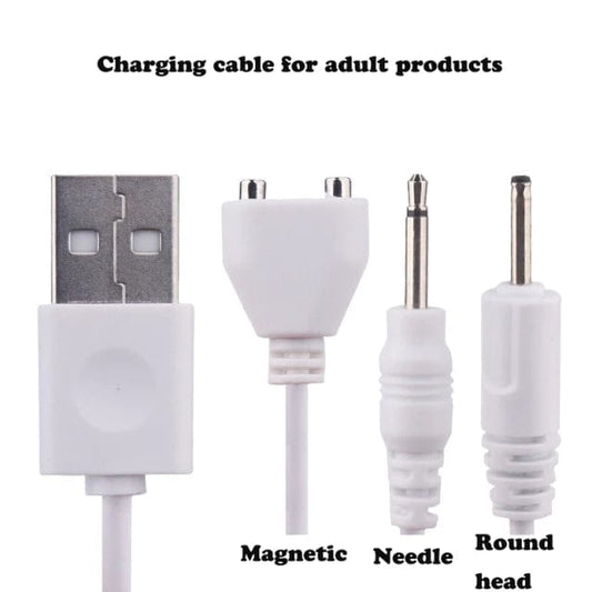 Belle Exotics TOY ACCESSORIES PLUGGED IN - TOY CHARGERS