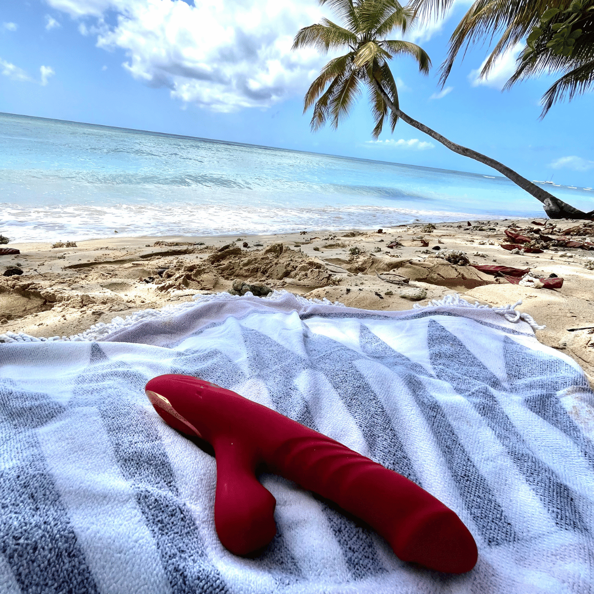 Red rabbit on a towel with a beach and palm tree in the background.Shop Belle Exotics for intimacy, pleasure and adult wellness products in Trinidad & Tobago. Shop online or visit our Marabella and Valsayn locations.
