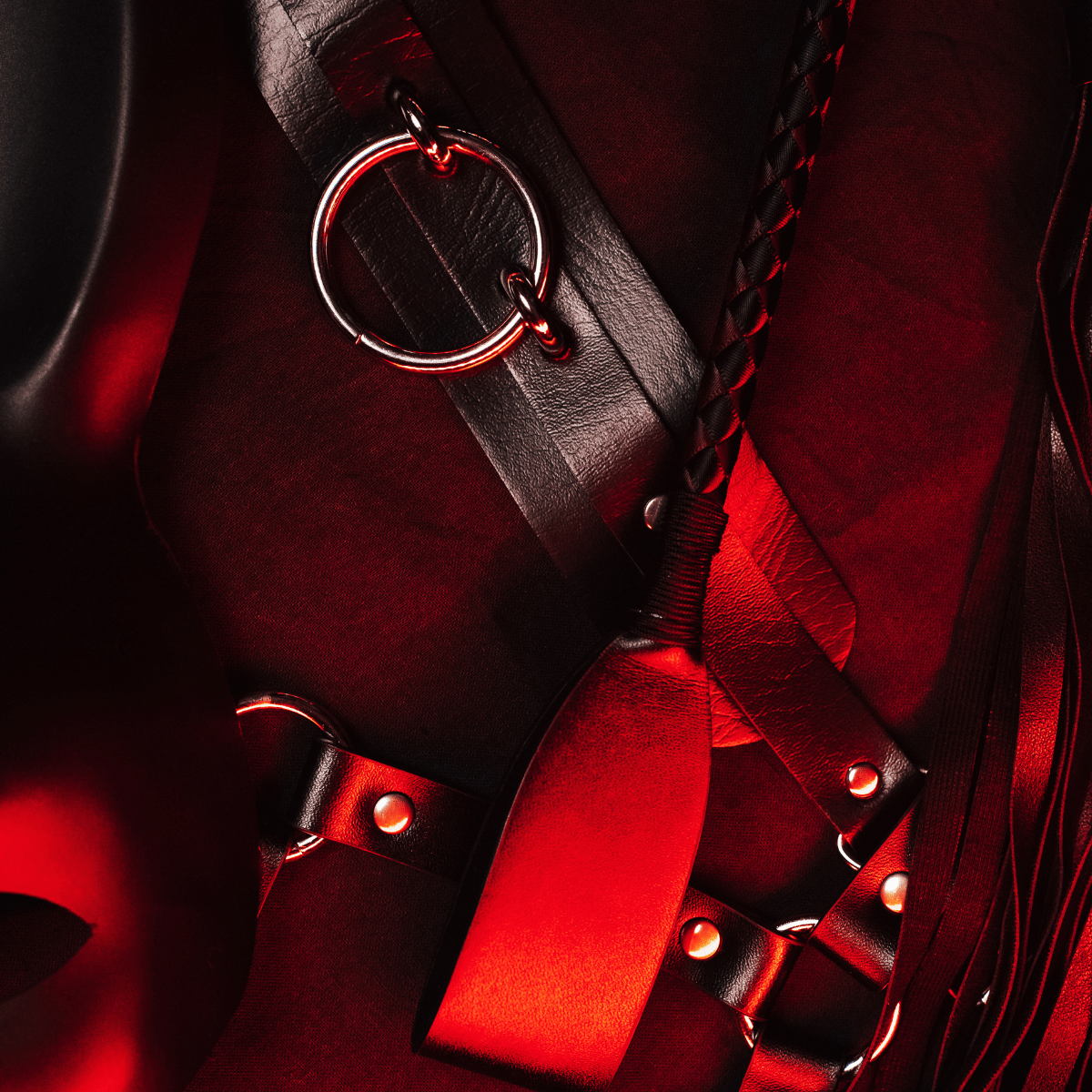 Close-up of a dark brown leather harness with a braided strap, metal studs, and a silver-tone ring, set against a deep red textured background.Shop Belle Exotics for intimacy, pleasure and adult wellness products in Trinidad & Tobago. Shop online or visit our Marabella and Valsayn locations.